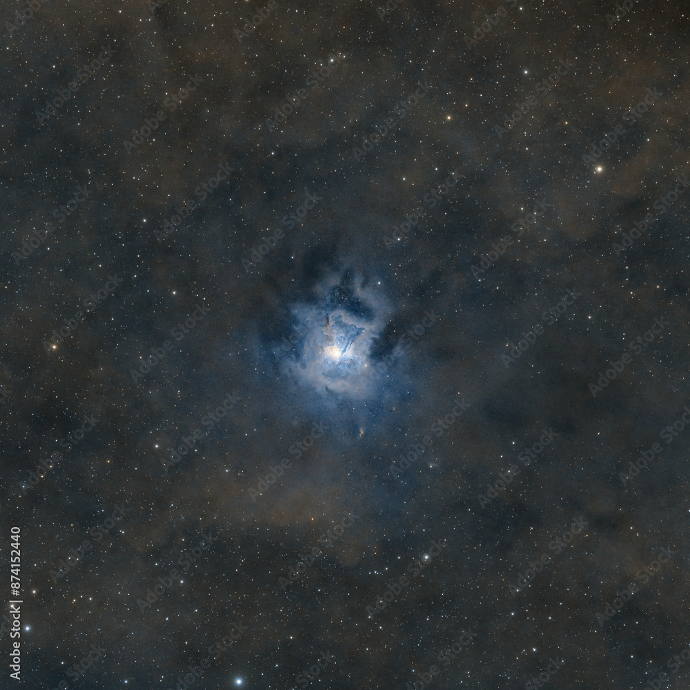 Wall mural deep space astrophotography using a telescope to capture the iris nebula ngc 7023