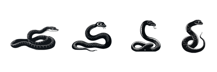 Black snake silhouette cutout. Set of snake animal silhouette on transparent background
