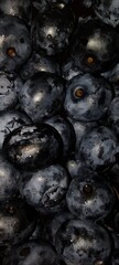 The photo shows a close-up of ripe and juicy blueberries with drops of water, which gives the image a feeling of freshness and naturalness.