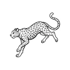 leopard jumping line art vector silhouette