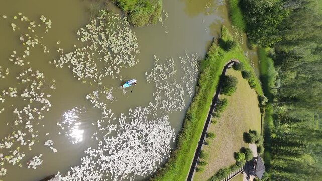Flying Above Young Woman Stand Up Paddling on Sup Board on Pond in Summer. Woman in Purple Swimsuit Floating on Lake. Outdoors Activity on Nature. Female Paddling on Sup Board. Active Sport Vacations