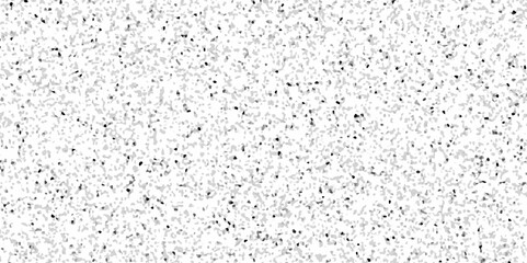 Terrazzo flooring consists of chips of marble texture. quartz surface white, black for bathroom or kitchen countertop. white paper texture background. rock stone marble backdrop textured illustration.