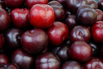 Many ripe purple plums as background