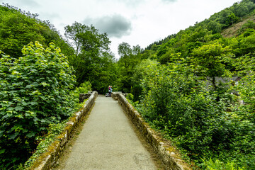 Fototapeta premium Wanderung durch den wunderschönen Nationalpark Dartmoor vom Castle Drogo zur Fingle Bridge - Exeter - Vereinigtes Königreich