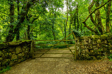 Wanderung durch den wunderschönen Nationalpark Dartmoor vom Castle Drogo zur Fingle Bridge - Exeter - Vereinigtes Königreich