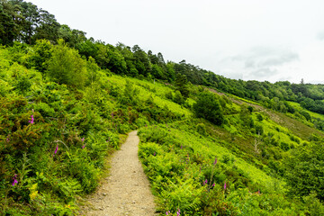 Wanderung durch den wunderschönen Nationalpark Dartmoor vom Castle Drogo zur Fingle Bridge - Exeter - Vereinigtes Königreich