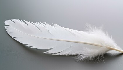 Ethereal Grace: Delicate White Feather Symbolizing Lightness and Calm"