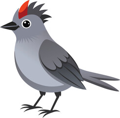 gray catbird vector