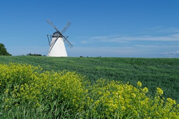 Windmühle des Gutshofes Vihula im Nationalpark Lahemaa, Estland