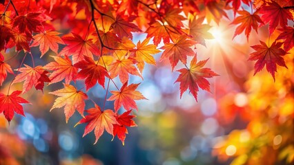 Vibrant red maple leaves on a sunny autumn day, autumn, foliage, colors, vibrant, nature, seasonal, fall, red, background