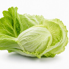 Chinese Cabbage vegetable, isolated on white background, isolated on white background