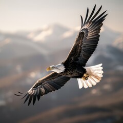 Naklejka premium A majestic bald eagle soaring peacefully in the sky, with stunning mountains and snow-capped peaks in the background.