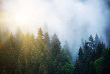 Misty mountain landscape