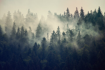Misty mountain landscape