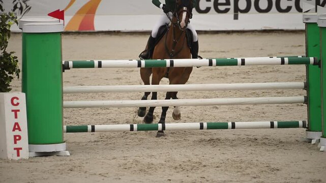 A horse clears a white-and-green obstacle with ease during a show jumping competition