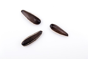 sunflower seed isolated on white background
