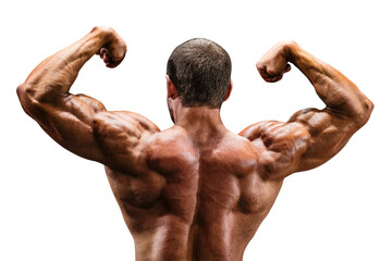 athlete bodybuilder posing back double biceps for bodybuilding isolated on transparent background