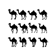 camels silhouettes set