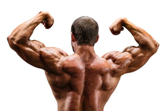 athlete bodybuilder posing back double biceps for bodybuilding isolated on transparent background