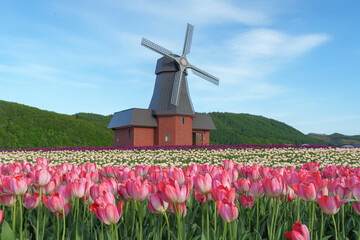 かみゆうべつチューリップ公園　北海道の春の絶景