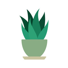 Cartoon flat different indoor potted decorative houseplants for interior home or office decoration, green garden floral. Plant in pot vector illustration