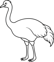 emu bird line art