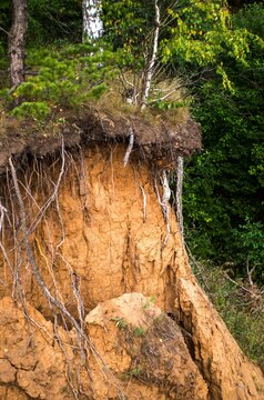 Damaged hillside with soil overgrown erosion