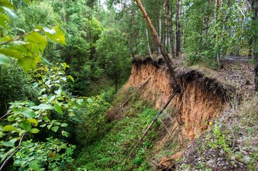 Terrain instability forest landslide erosion