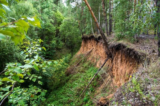 Terrain instability forest landslide erosion