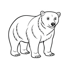 polar bear vector line art