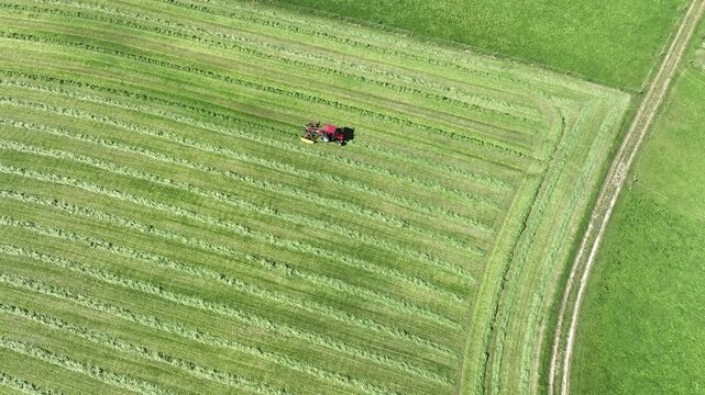 Smooth drone shot of tractor with grass Tedder turning hay on green meadow in Switzerland.