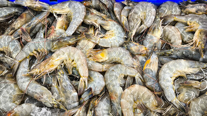Fototapeta premium Fresh shrimp for cooking, food concept