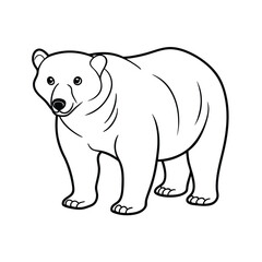 polar bear vector line art