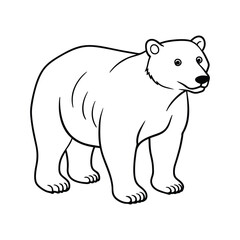 polar bear vector line art