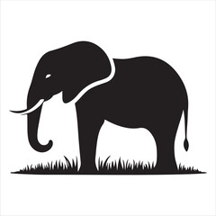 Premium Quality Elephant Silhouette Vector 