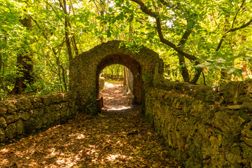 An old hiking trail with an abandoned concrete gate in the wild at Haller Park in Bamburi, Mombasa 

