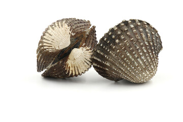 Fresh cockles on a white background. Natural seafood..
