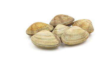 Closed up fresh baby clams, venus shell, shellfish, carpet clams, short necked clams, as raw food from the sea are the seafood ingredients. fresh clams Background.