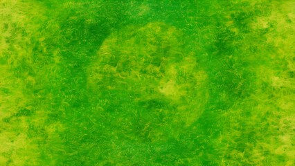 Fototapeta premium Lime green yellow noise texture grainy background, vibrant summer banner backdrop design