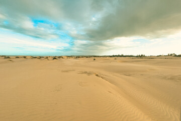 Scenic view of sand dunes on the Beach at Mambrui Beach inMalindi, Kilifi County in Kenya
