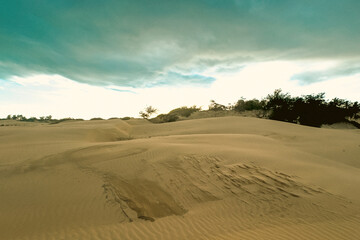 Scenic view of sand dunes on the Beach at Mambrui Beach inMalindi, Kilifi County in Kenya
