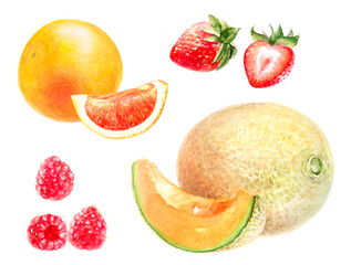 Watercolor Illustrations of Various Fruits: Orange, Strawberry, Raspberry, Melon.