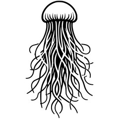 Jellyfish sketch silhouette