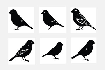 set of birds silhouettes