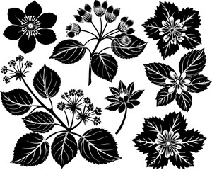 set of black leaves and flowers silhouettes on white isolated background, collection, illustration vector