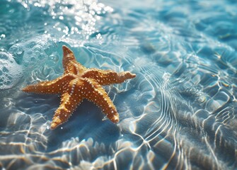 A cluster of starfish rests on a sandy beach, their vibrant colors contrasting with the muted hues of the shore.