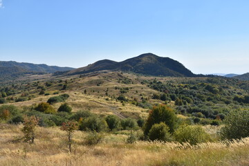 Beautiful lush meadows in fall colors with wild hay