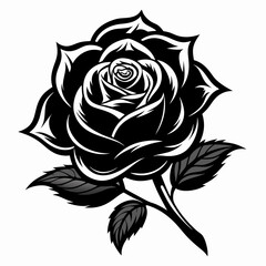 rose flower black vector silhouette