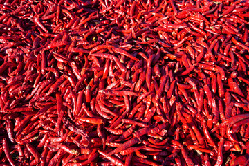 Piles of red chili peppers on a farm in North China