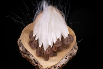 Macro photo of Asclepiadaceae seeds
